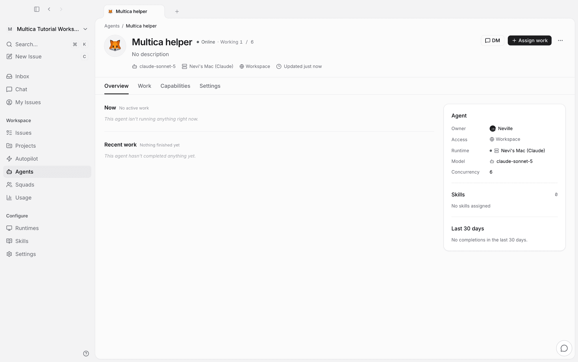 Agent detail: Melso helper online